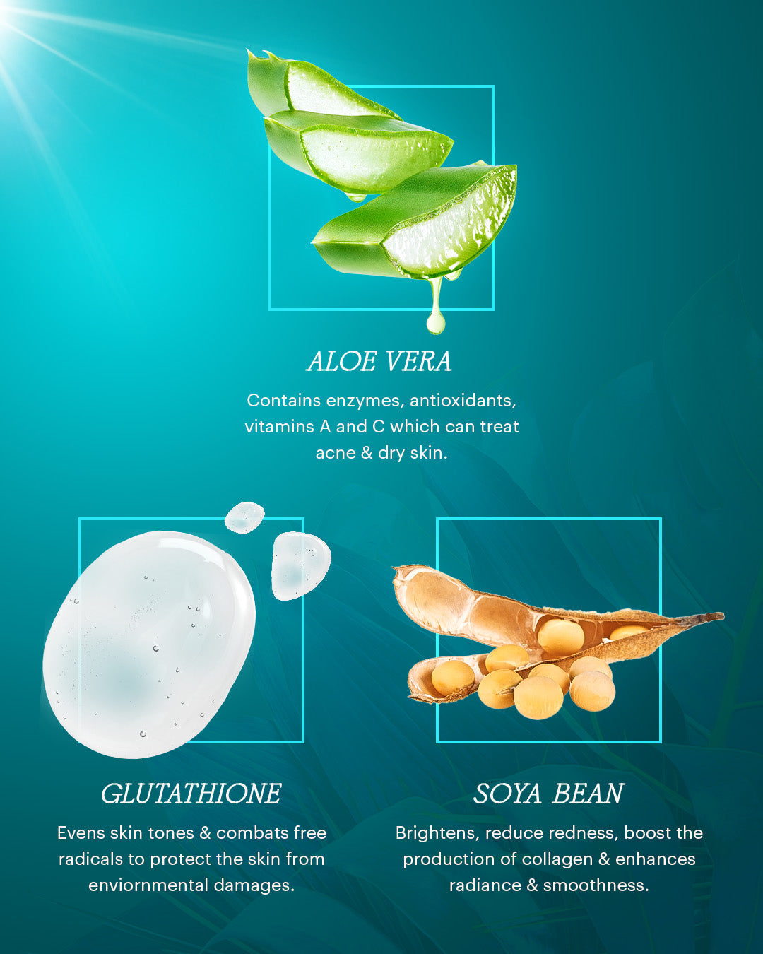 REGENERATING SERUM